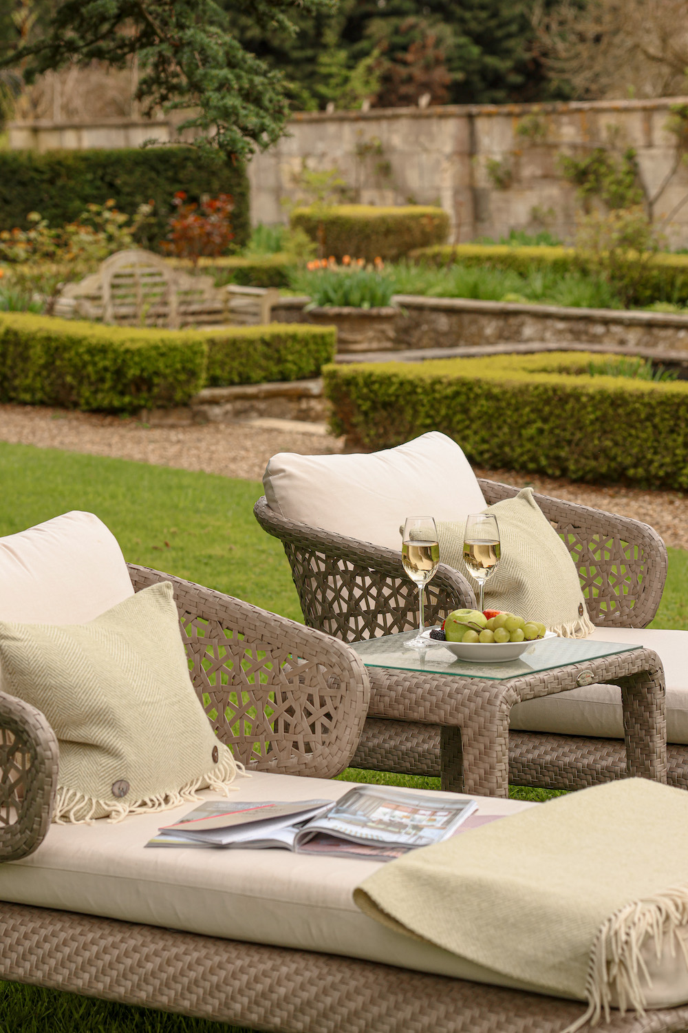 Where Wellness Begins